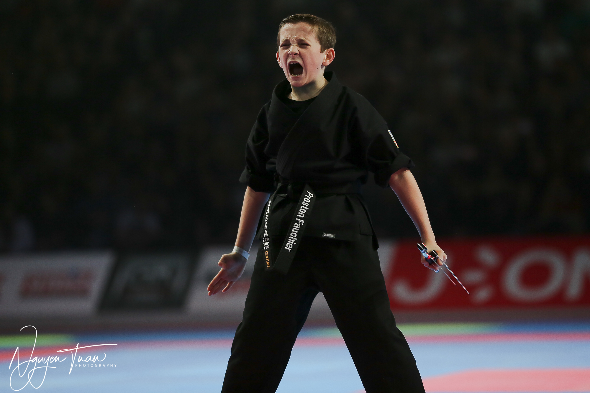 20190324 Festival des Arts Martiaux 4843